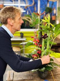 Impressive Amaryllis