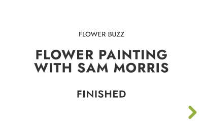 Flower Buzz Flower Painting Workshop