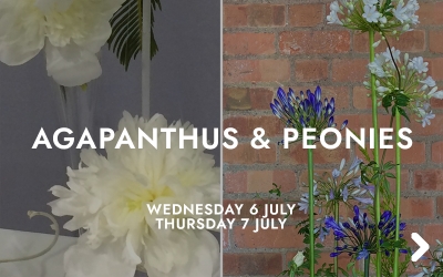 Agapanthus and Peonies