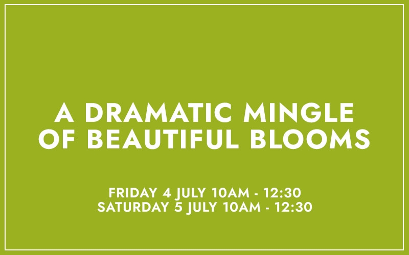 A DRAMATIC MINGLE OF BEAUTIFUL BLOOMS