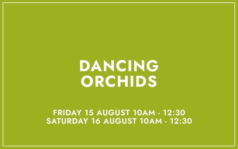 DANCING ORCHIDS