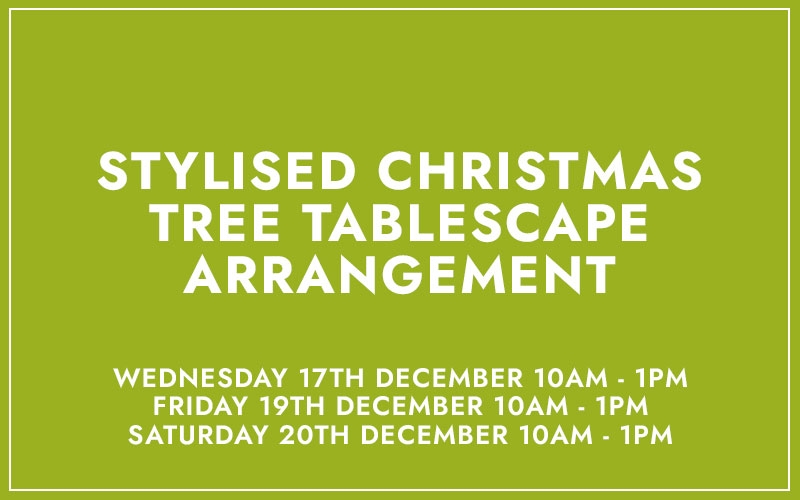 Stylised Christmas Trees Tablescape Arrangement