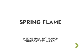 Spring Flame Workshop