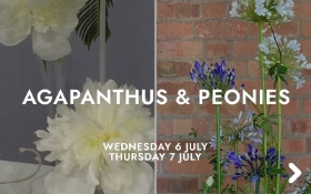 Agapanthus and Peonies