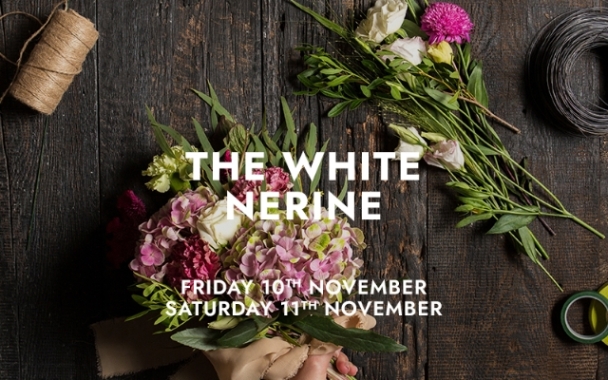 The White Nerine