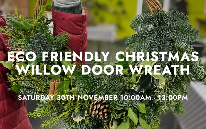 Eco Friendly Christmas Willow Door Wreath