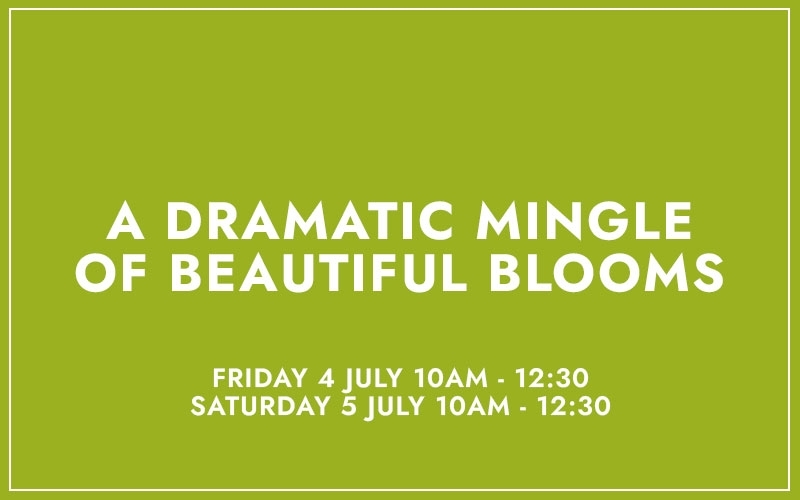 A DRAMATIC MINGLE OF BEAUTIFUL BLOOMS