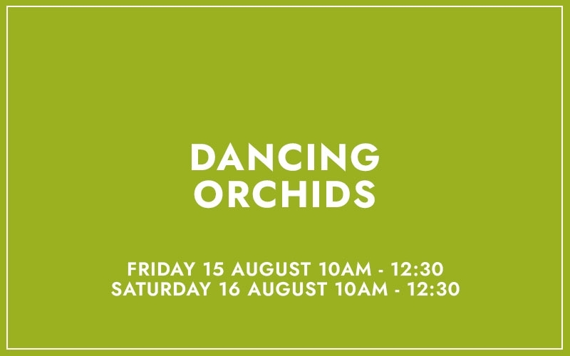 DANCING ORCHIDS