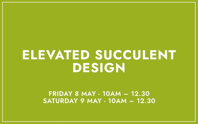 Elevated Succulent Design