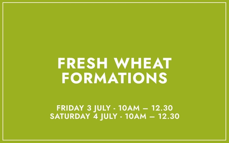 Fresh Wheat Formations